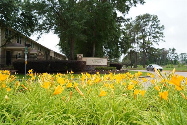 Building Photo - 16019 Summerville Lake Dr