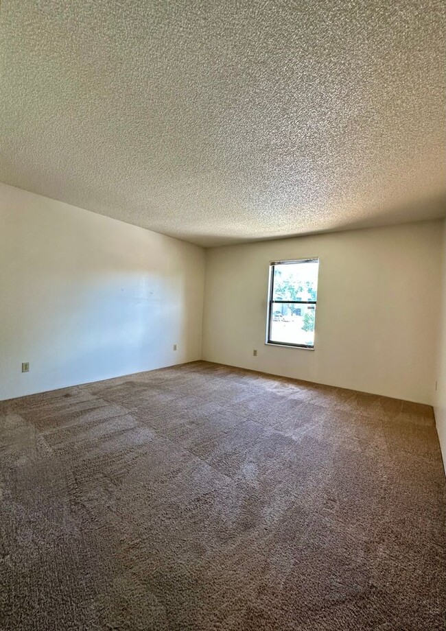 Building Photo - Spacious and Bright Top-Floor Apartment wi...