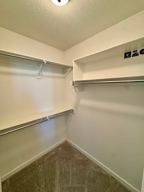 Building Photo - 3907 Appaloosa Way