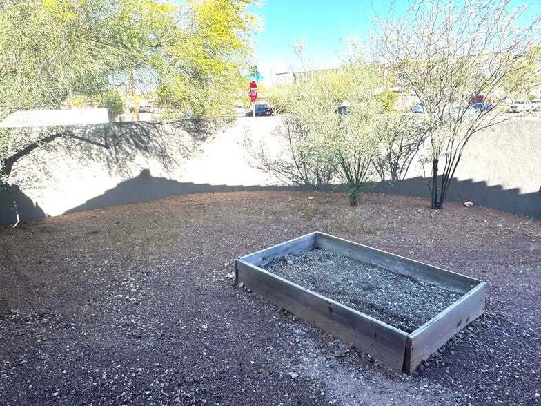 Yard Area - 198 N Santa Rita Ave