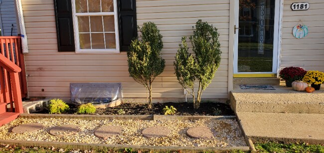 Building Photo - 1181 Cobblestone Cir