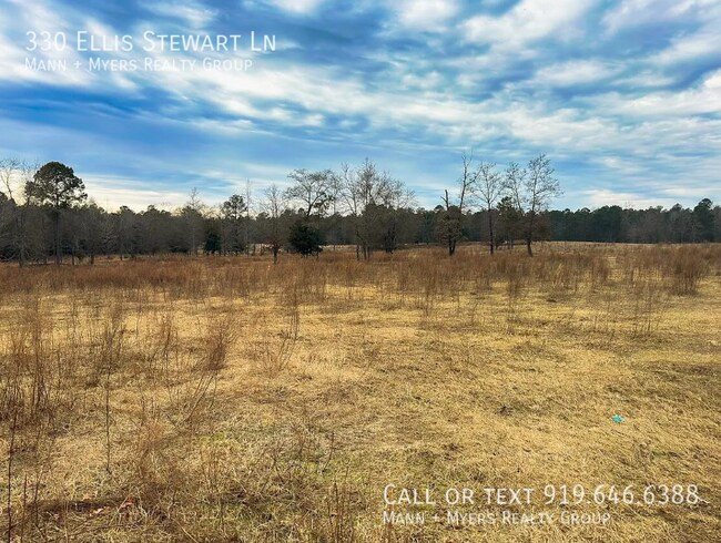 Building Photo - 330 Ellis Stewart Ln