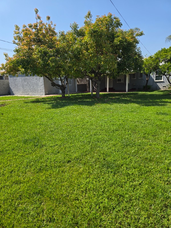 Building Photo - 925 W Mirada Rd