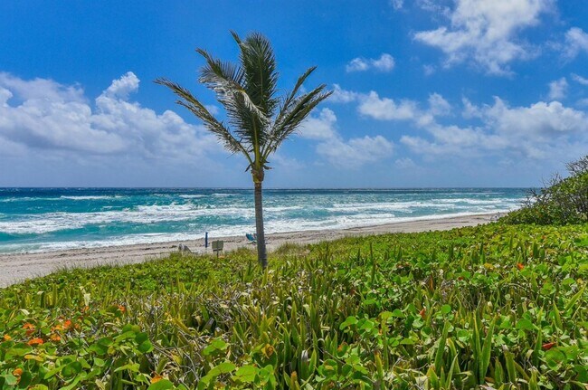 Building Photo - 3300 S Ocean Blvd