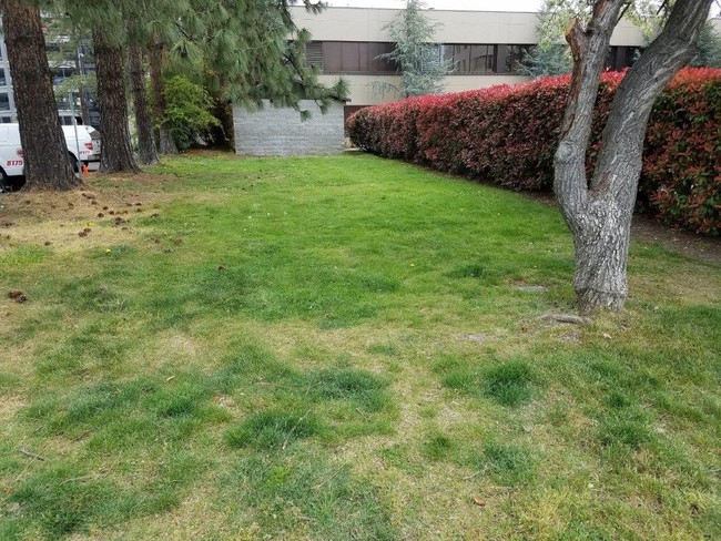 Parklike Area for Resident Enjoyment - Medford Plaza Apartments