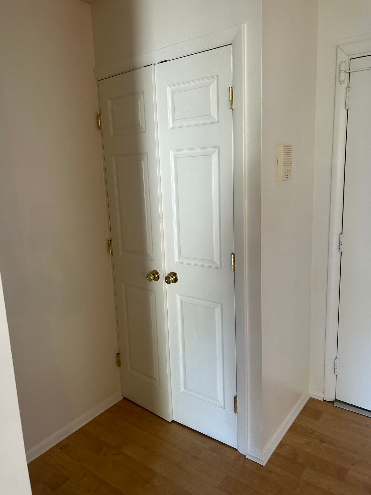 Hall Closet - 7 Rockford Rd
