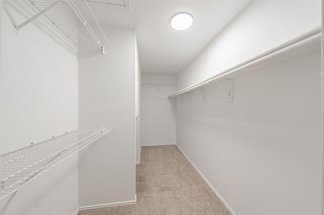 Building Photo - 617 Dover Ct