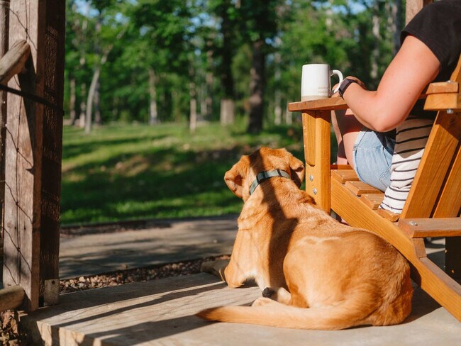 Building Photo - 10583 Two Girls Ln