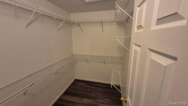 Building Photo - 5203 Chesapeake Cir