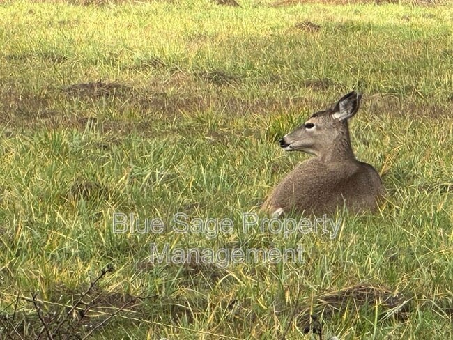 Building Photo - 1375 S Bagley Creek Rd