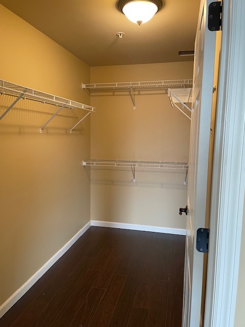 Building Photo - 5100 Tesson Gardens Ct