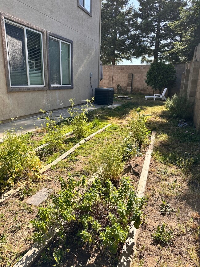 Building Photo - 2514 Mercato Ln