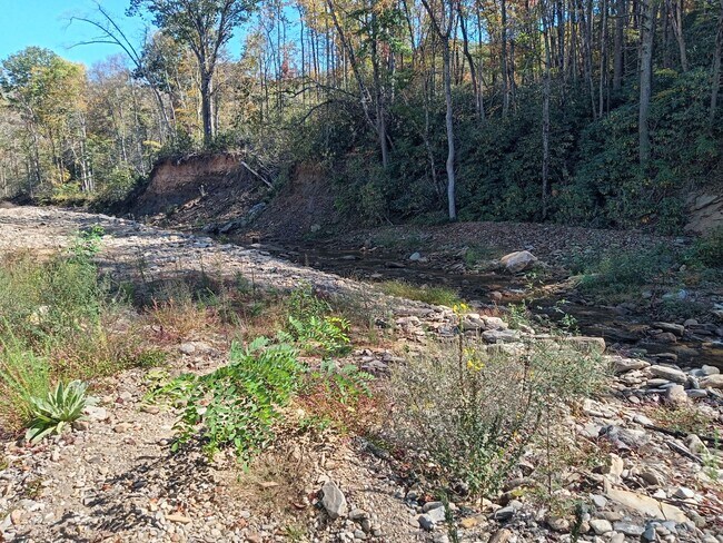 Building Photo - Beautiful One Bedroom Cabin on your own Private Pond!