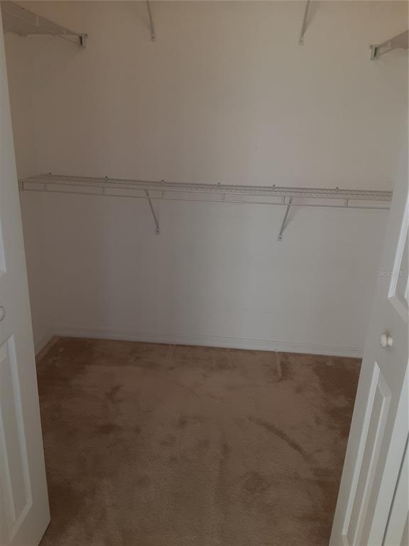 Building Photo - 1064 N Tamiami Trl