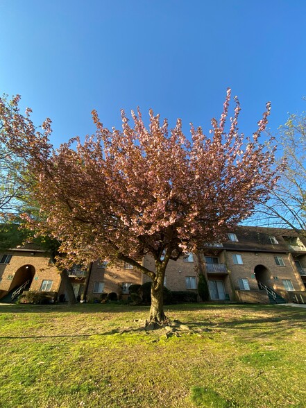 Building Photo - Autumn Ridge Apartments