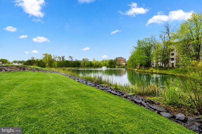 Building Photo - 1708 Lake Shore Crest Dr