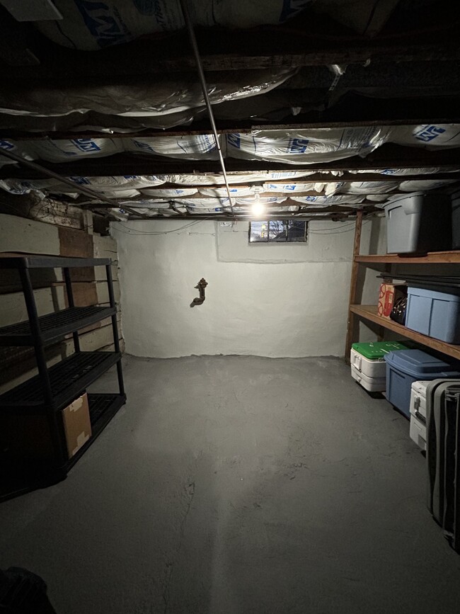 basement storage - 139 Hall Avenue