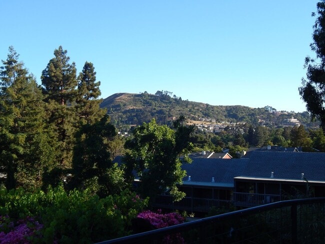 Building Photo - Rent $1900- Deluxe newer 1 Bedroom 1 Bath duplex upper level. El Sobrante