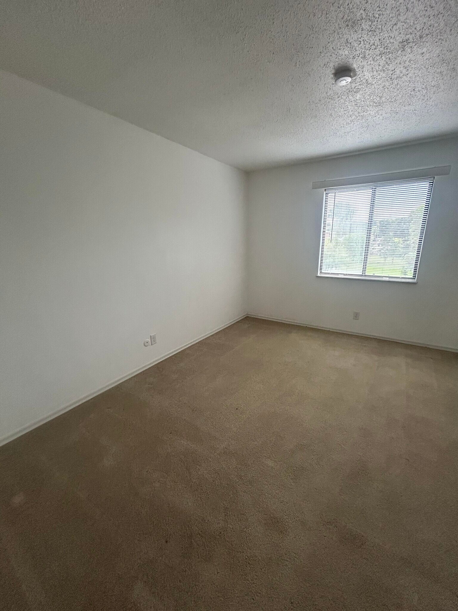 2nd Bedroom - 1233 Guelbreth Ln