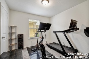 Building Photo - 6542 Cibolo Springs