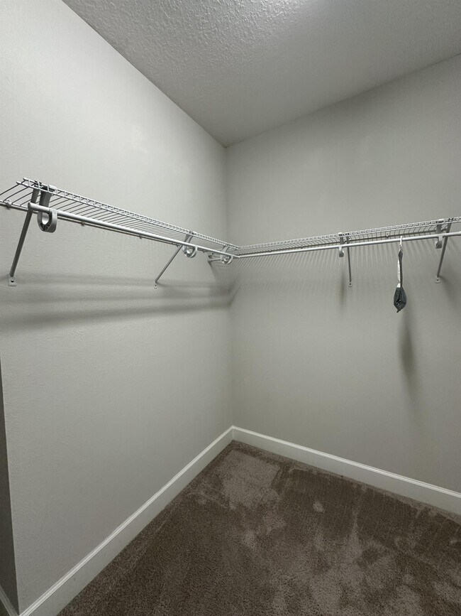 Building Photo - 24 Woodsong Ln