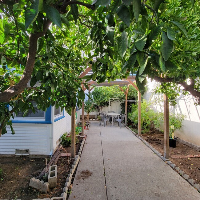 Patio with several fruit trees - 1331 Barrington Way