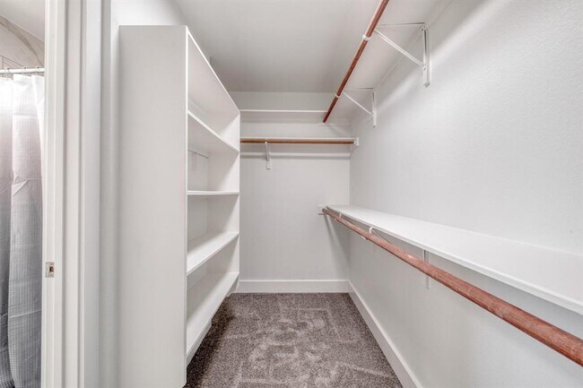 Building Photo - 277 Paddington Dr