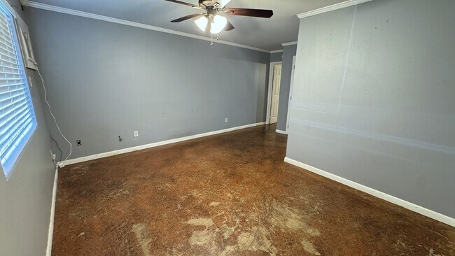 Building Photo - 211 Hodge St