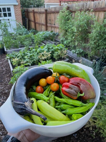 Building Photo - 3423 St Paul St