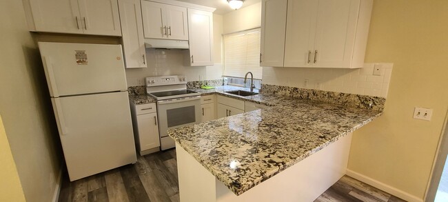 Building Photo - Remodeled Large 4 Bedroom 2 Bath Condo  in...