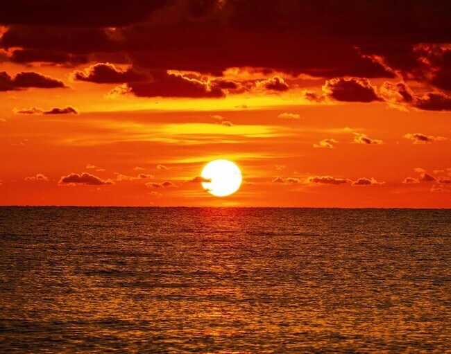 Building Photo - 501 N Ocean Blvd