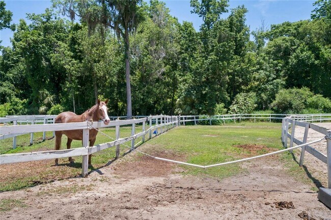 Building Photo - 115 Tomoka Trail
