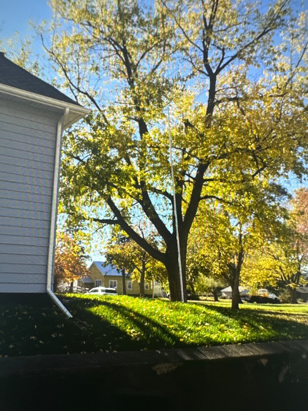 Building Photo - 1428 Story St