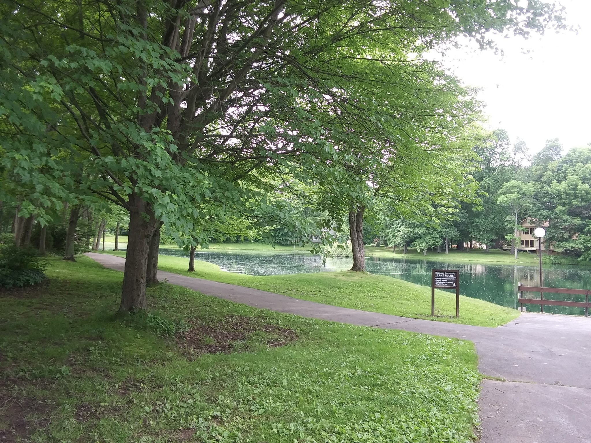 Walking trail around the ponds - 1406 Greymoor Way