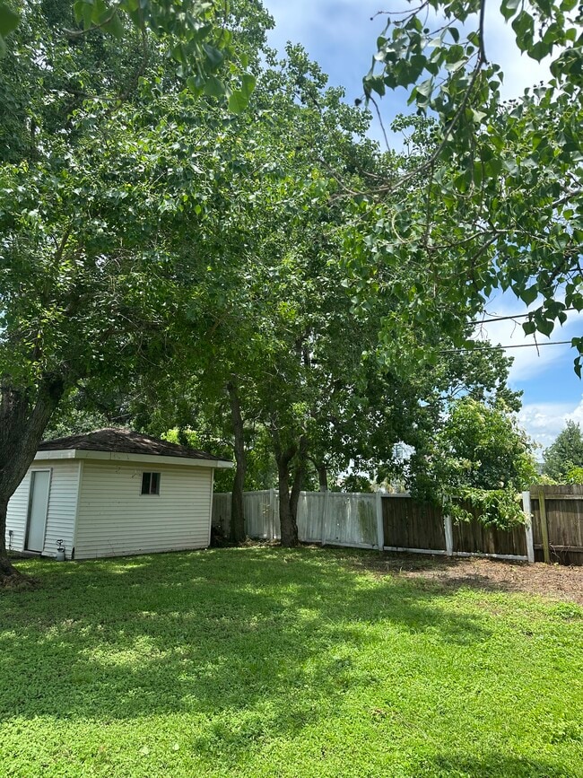 Building Photo - 209 Cougar Dr
