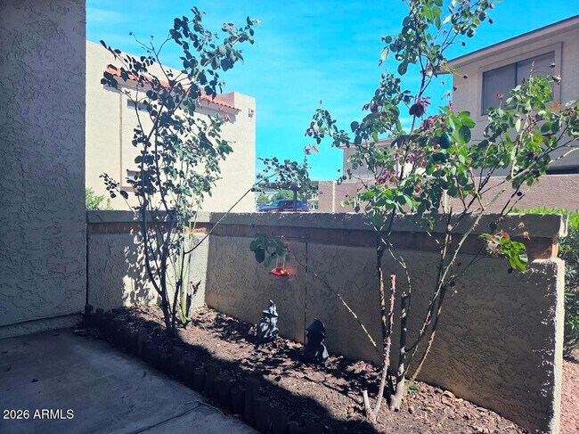 Building Photo - 11666 N 28th Dr