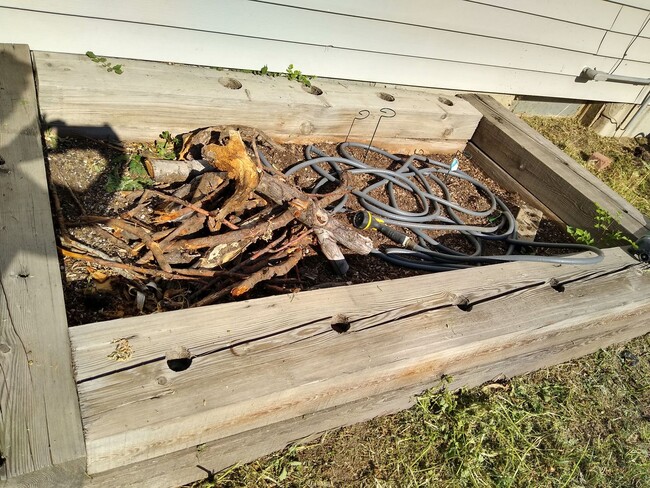 Building Photo - DU Charming 1920's Bungalow 2 Beds 1 Bath  Available Now