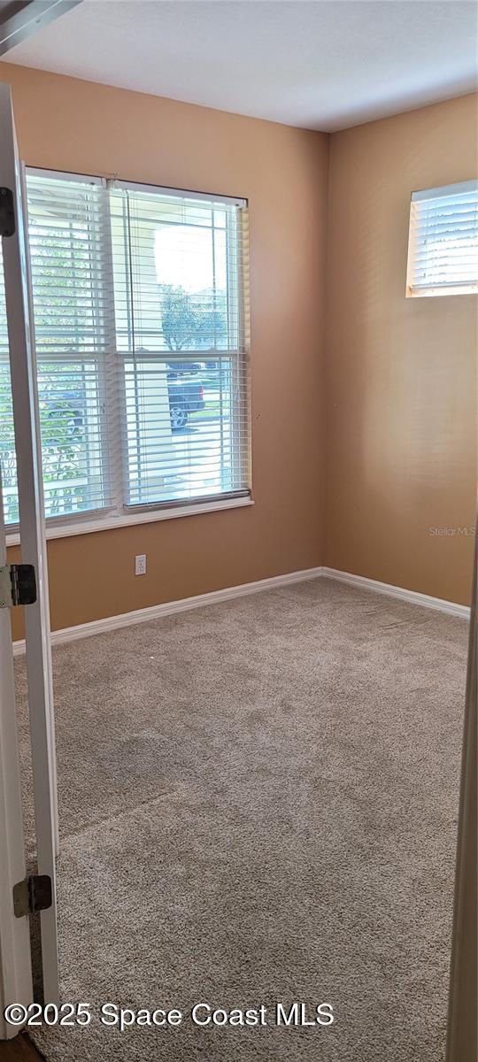 Building Photo - 1721 Saffron Plum Ln