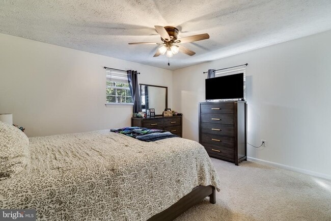 Building Photo - 12456 San Jose Ln