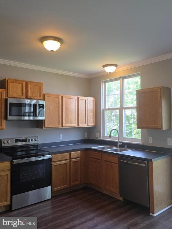 Building Photo - 31 Carrick Ln