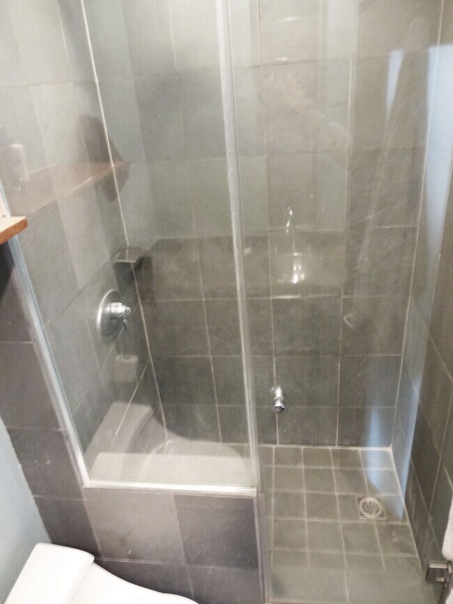 Bathroom 1 - 1010 Palm Ave