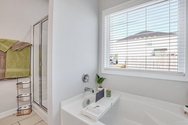 Building Photo - 181 Sunflower Cir NE