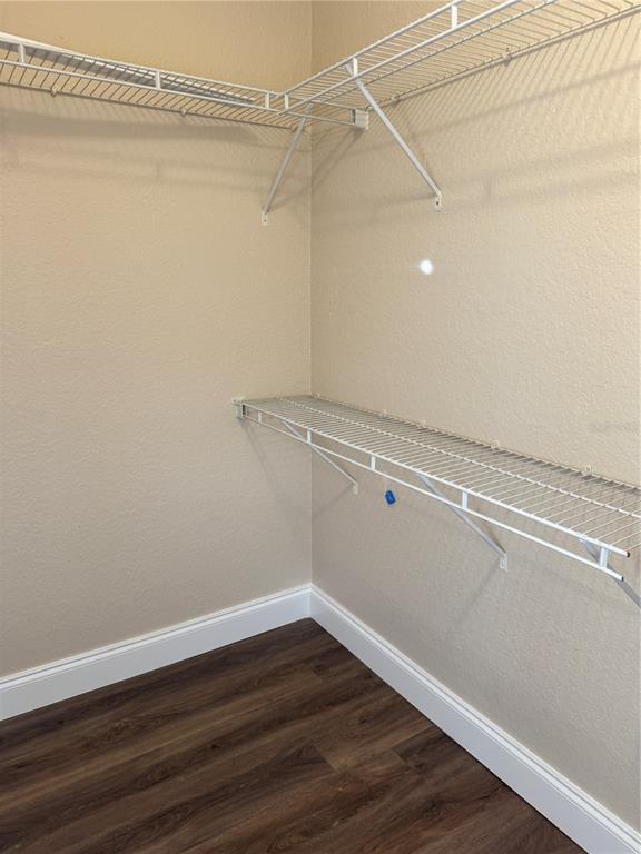 Building Photo - 3315 Haviland Ct
