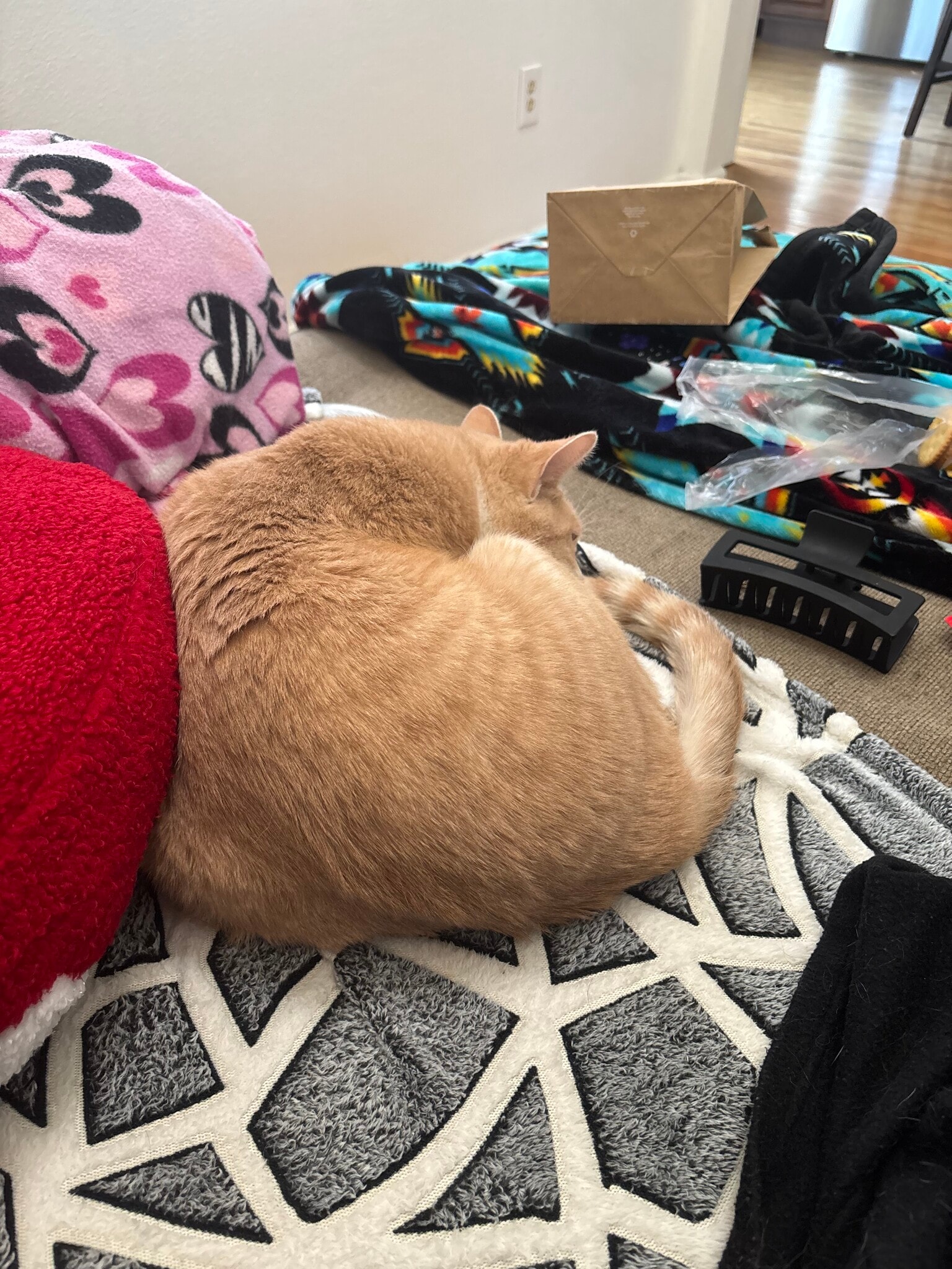 Beach! - 1515 Harrison Ave