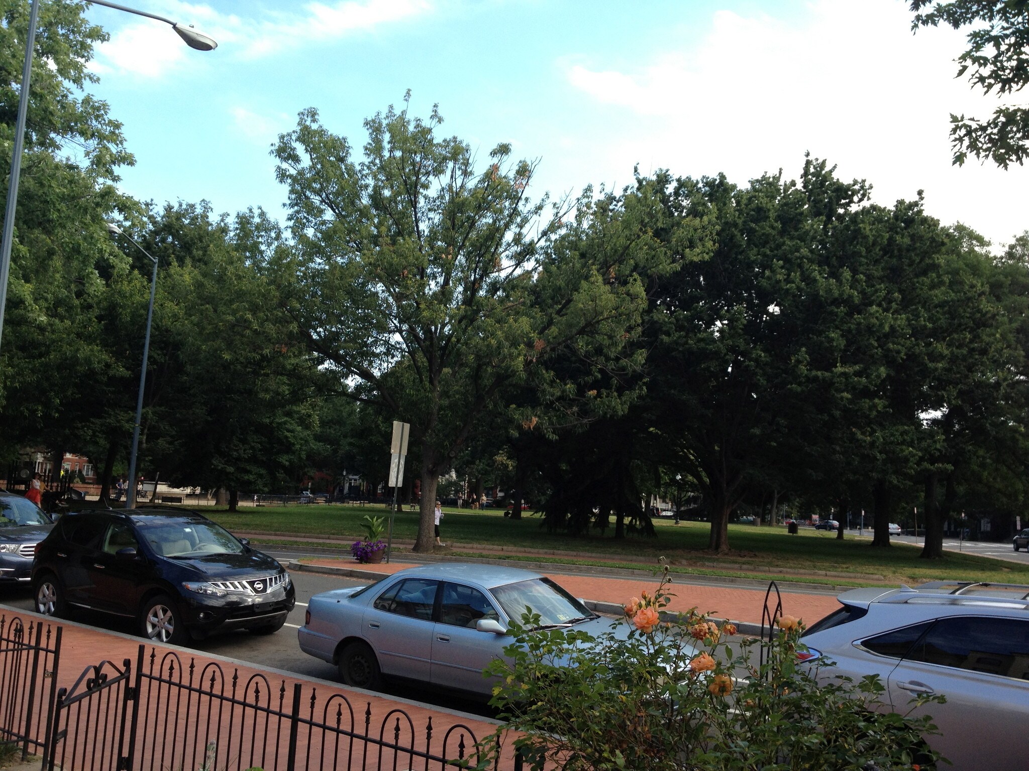 On Lincoln Park - 1227 Massachusetts Ave SE