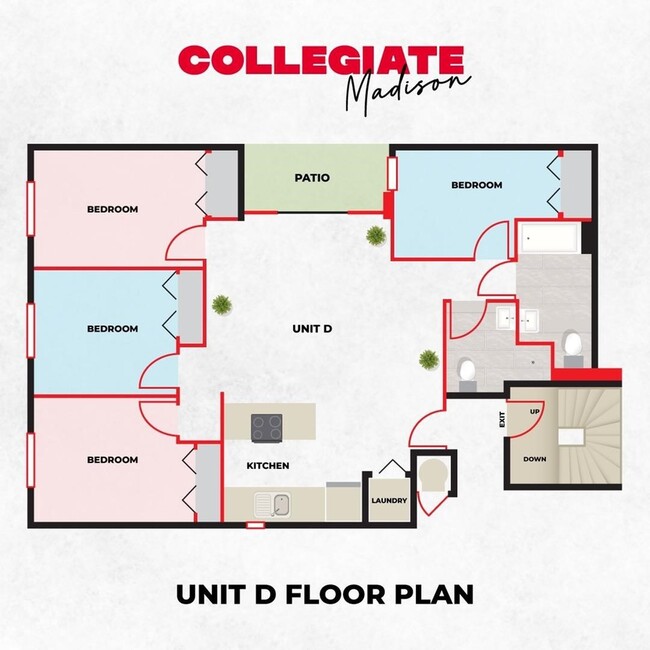 4BR/2BA Floor Plan - Collegiate Campus Apartments