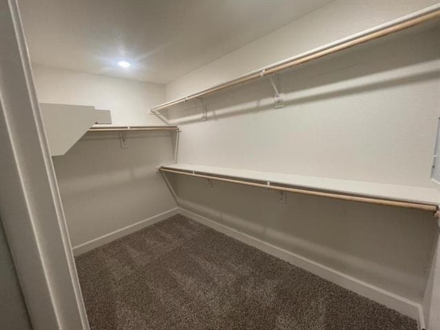 Building Photo - 312 Lone Wolf Trl