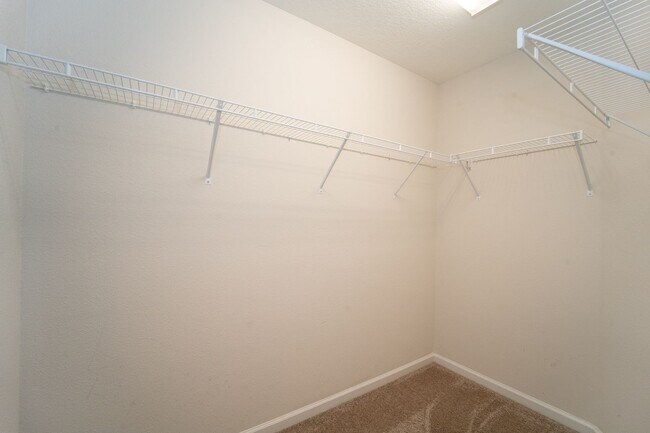 Building Photo - Castine Cove 3/2 Single Family Home