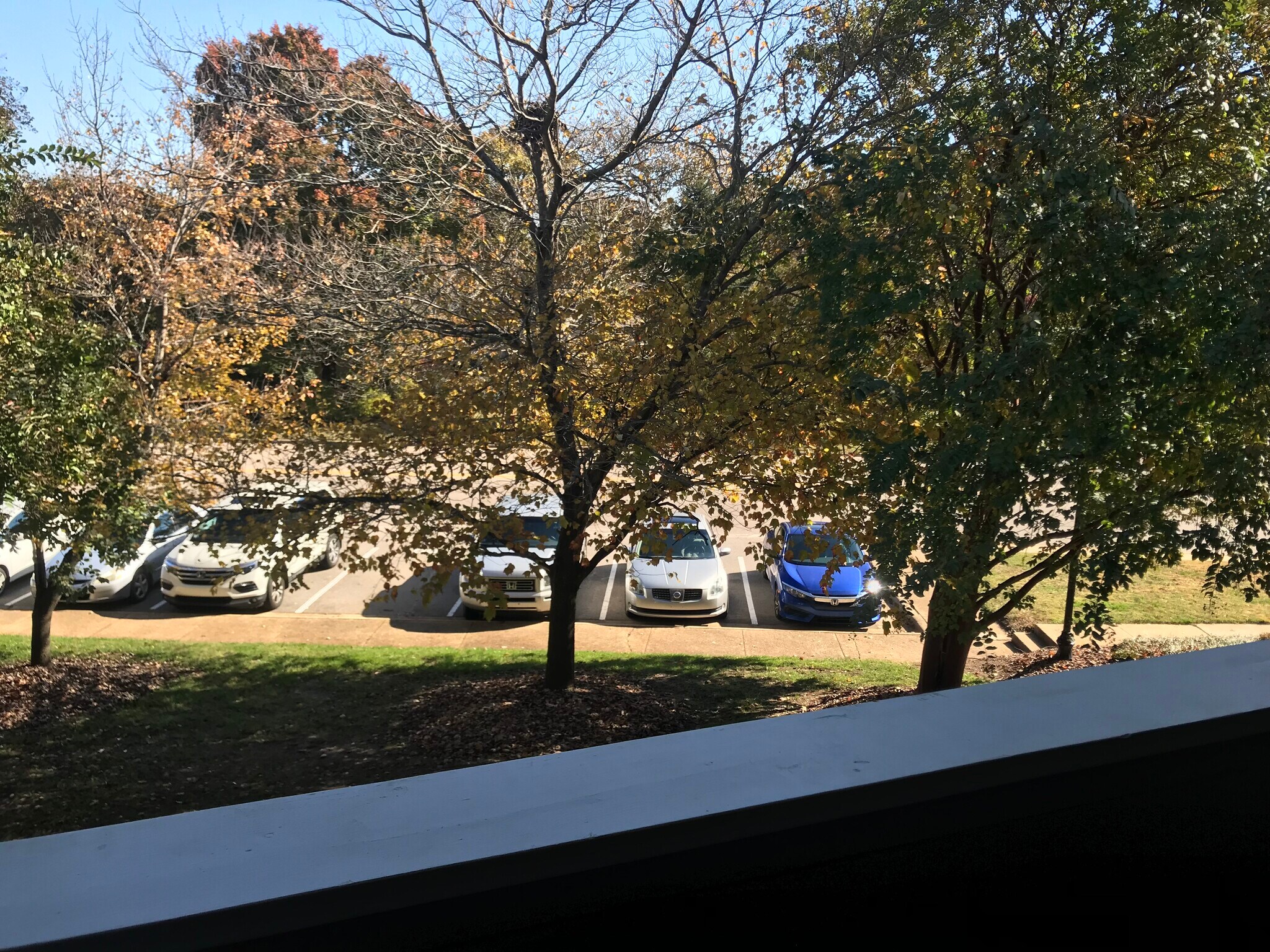 Building Photo - 701 Daniels St