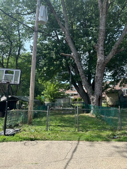 Backyard - 11934 Waldemire Dr